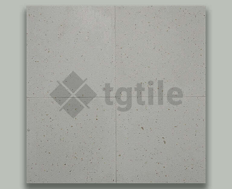 Terrazzo Amessesia Limestone