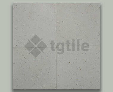 Terrazzo Amessesia Limestone